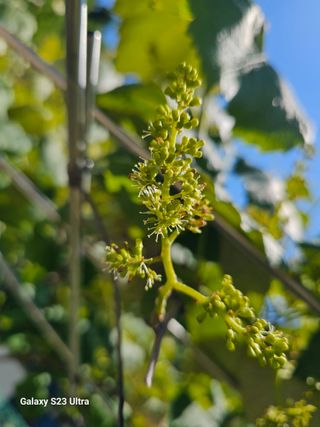 송운님의 자유주제 · 자유게시판 작성글 사진