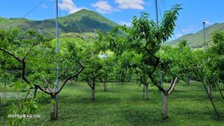 박우식님의 자유주제 · 자유게시판 작성글 사진