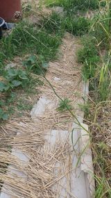 팜모닝 자유주제·자유게시판 게시글 이미지