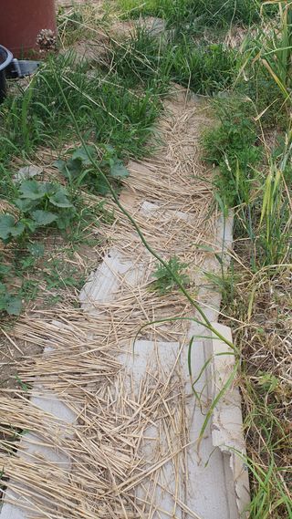 황의성님의 자유주제 · 자유게시판 작성글 사진