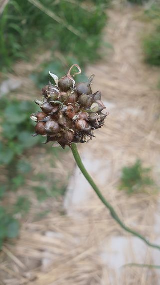 황의성님의 자유주제 · 자유게시판 작성글 사진