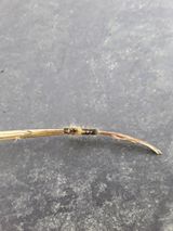 팜모닝 기타작물·병해충상담 게시글 이미지