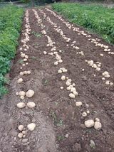 팜모닝 자유주제·자유게시판 게시글 이미지