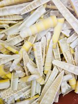 팜모닝 자유주제·자유게시판 게시글 이미지