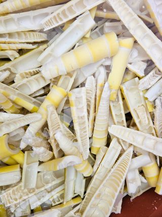 경희아짐님의 자유주제 · 자유게시판 작성글 사진