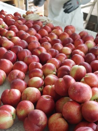 배경수 님의 자유주제 · 자유게시판 작성글 사진