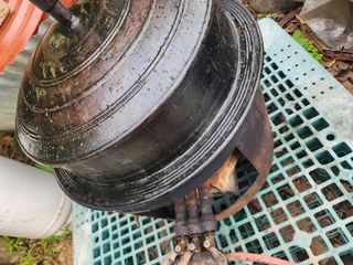 고추농사 정 미라님의 자유주제 · 자유게시판 작성글 사진