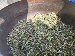 고추농사 정 미라님의 자유주제 · 자유게시판 작성글 사진