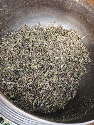 고추농사 정 미라님의 자유주제 · 자유게시판 작성글 사진