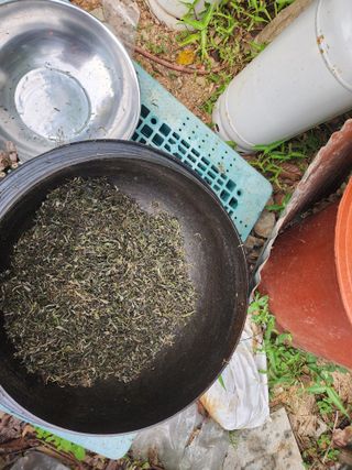 고추농사 정 미라님의 자유주제 · 자유게시판 작성글 사진