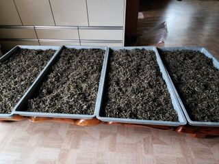 고추농사 정 미라님의 자유주제 · 자유게시판 작성글 사진