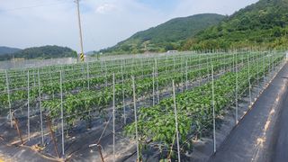 유형철님의 자유주제 · 자유게시판 작성글 사진