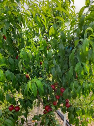 김한태님의 자유주제 · 자유게시판 작성글 사진