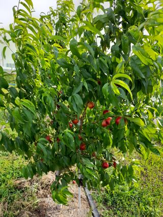 김한태님의 자유주제 · 자유게시판 작성글 사진