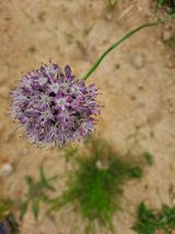 팜모닝 자유주제·사진전 게시글 이미지