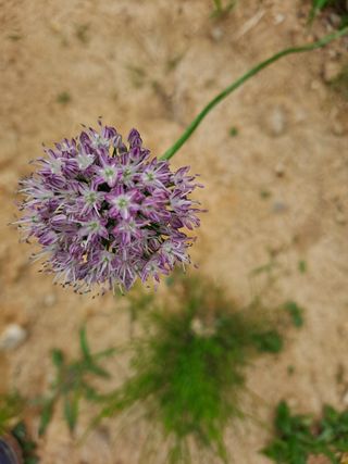 이연주님의 자유주제 · 사진전 작성글 사진