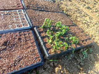 알 수 없음님의 자유주제 · 사진전 작성글 사진