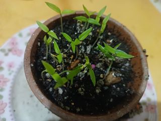 알 수 없음님의 자유주제 · 사진전 작성글 사진