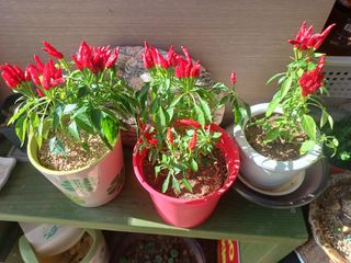 알 수 없음님의 자유주제 · 사진전 작성글 사진