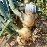 팜모닝 자유주제·자유게시판 게시글 이미지