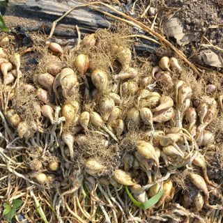 김상선님의 자유주제 · 자유게시판 작성글 사진