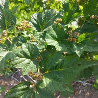 김상선님의 자유주제 · 자유게시판 작성글 사진