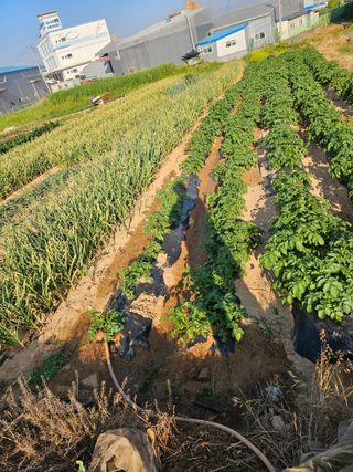 묽맑은 길 이영행님의 자유주제 · 자유게시판 작성글 사진