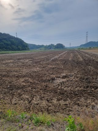 이병남님의 콩 · 영농일지 작성글 사진