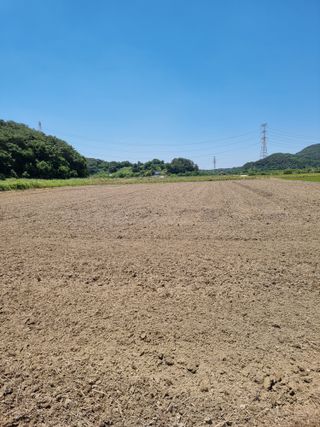 이병남님의 콩 · 영농일지 작성글 사진