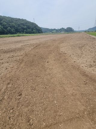 이병남님의 콩 · 영농일지 작성글 사진