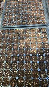 팜모닝 자유주제·사진전 게시글 이미지