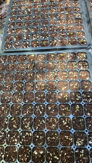 홍&이님의 자유주제 · 사진전 작성글 사진