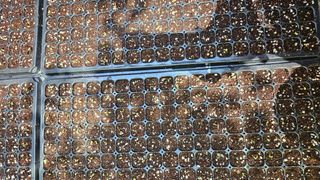 홍&이님의 자유주제 · 사진전 작성글 사진