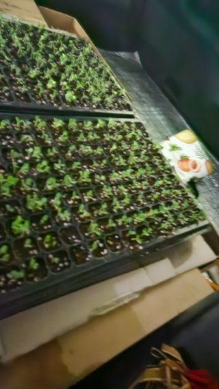 홍&이님의 자유주제 · 사진전 작성글 사진