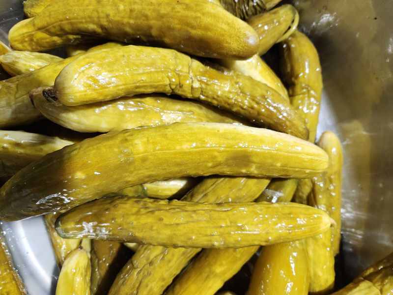 빨간장화농장 김숙자님의 장터 판매 상품 [백다다기오이 열무 얼갈이 ] 첨부 사진