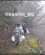 팜모닝 자유주제·자유게시판 게시글 이미지