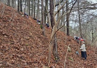 치유숲모이라양재순님의 자유주제 · 자유게시판 작성글 사진