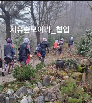 치유숲모이라양재순님의 자유주제 · 자유게시판 작성글 사진