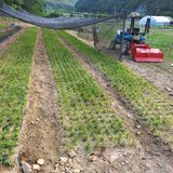 팜모닝 자유주제·자유게시판 게시글 이미지