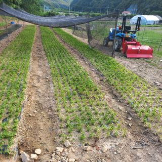 김상선님의 자유주제 · 자유게시판 작성글 사진