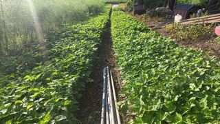 김상선님의 자유주제 · 자유게시판 작성글 사진