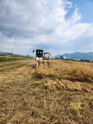 정재문님의 자유주제 · 자유게시판 작성글 사진