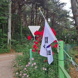 bpjh9173님의 자유주제 · 사진전 작성글 사진