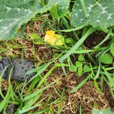 팜모닝 자유주제·자유게시판 게시글 이미지