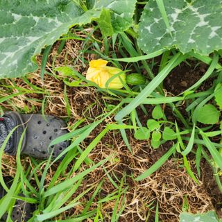 제주삼둥이네님의 자유주제 · 자유게시판 작성글 사진