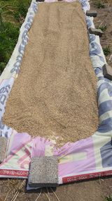 팜모닝 기타작물·영농일지 게시글 이미지