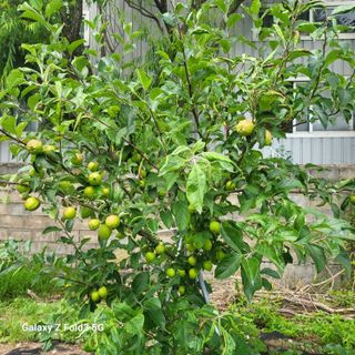 아림농장 대저2동 님의 자유주제 · 자유게시판 작성글 사진