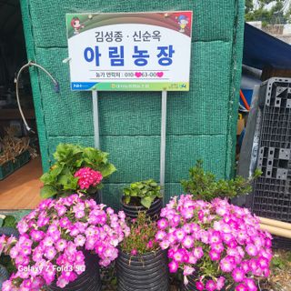 아림농장 대저2동 님의 자유주제 · 자유게시판 작성글 사진