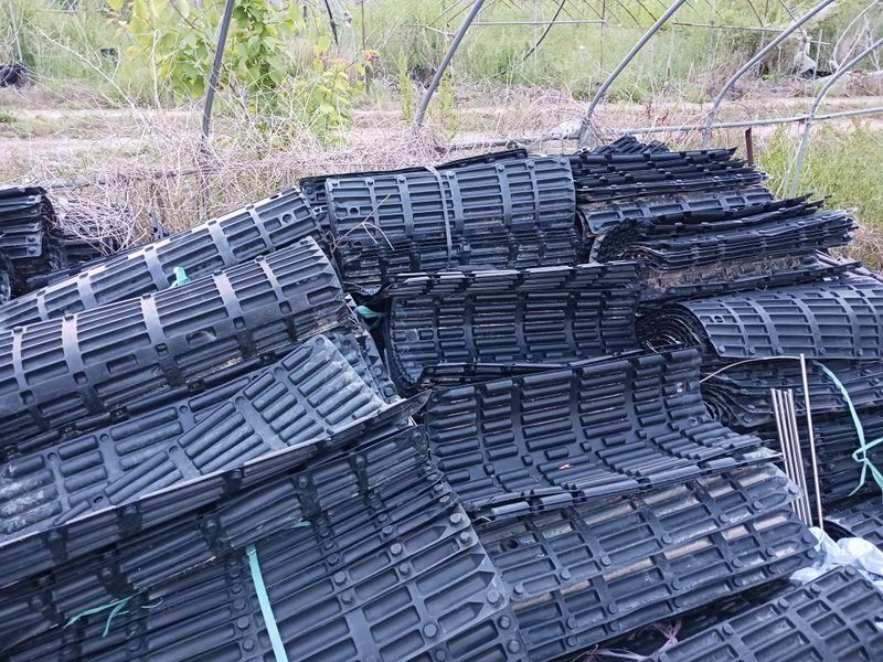 장터 상품 [블루베리, 도라지 하수오 잔대 감초 마뿌리 화분 긴뿌리 작물 재배 용이] 썸네일