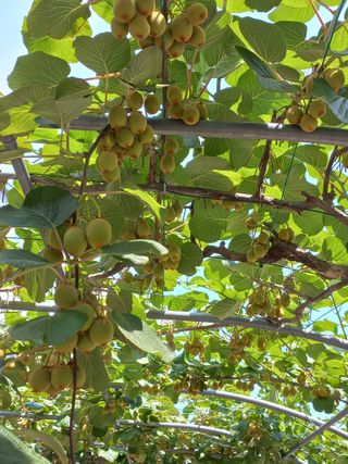 이성민님의 자유주제 · 자유게시판 작성글 사진